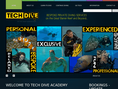 Tech Dive Website 2011