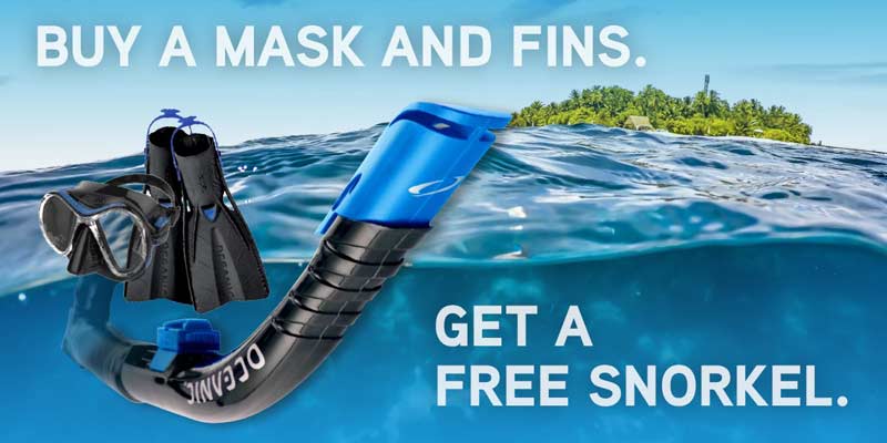 Mask Snorkel Fins - Free Snorkel