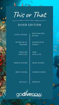 This or That Diver Edition